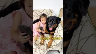 双向奔赴的陪伴，一切尽在不言中 #罗威纳 #罗威纳护卫犬 #一坨 #rottweiler #萌宠 #pets #老友狗狗 #向威和一坨 #搞笑 #funny #温馨治愈 #dogshorts