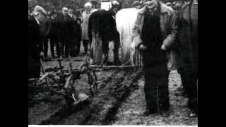 The wake  for Thady Quill's sister - Jerry Neilus O'Connor