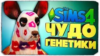 ЧУДО ГЕНЕТИКИ, СЛИШКОМ УГАРНЫЕ СОБАКЕНЫ! - The Sims 4 "Кошки и Собаки"