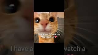 you're beautiful  pt-3 #viral #cats #beauty #aesthetic