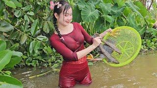 Mò hang bắt cá bằng tay không trên sông lớn | TNTP T244 - Catching fish with bare hands in the cave