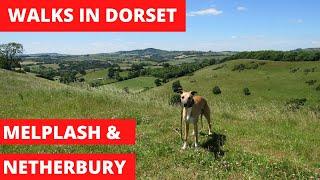 WALKS IN DORSET at MELPLASH & NETHERBURY (4K)