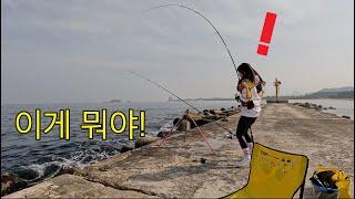 Hard Caught Fish! Let's drink together (subtitles)