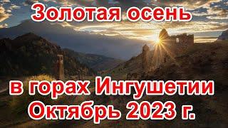 Золотая осень в горах Ингушетии. октябрь 2023 г.