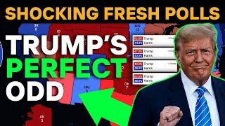 Shocking 2024 Election Map: Correcting the Polling Errors in Every State!