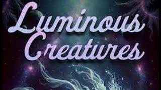 Luminous Creatures LIVE at One Stop / Asheville Music Hall 9-25-2024