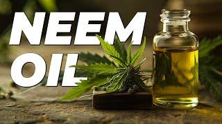 Neem Oil | Organic Pesticides for Cannabis