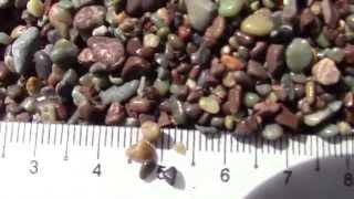 34) Primary Sedimentary Structures Pt. 1