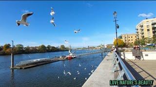 Epic Nature Relaxing Place | Hammersmith River Thames London | Love nature's beauty