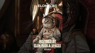 ElonXCat The Meme Project Shooting for the Moon