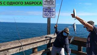 Сумаcшедшая Рыбалка на СКУМБРИЮ/Mackerel Fishing, Balboa Pier, California