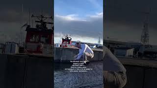 Остановить внутренний диалог - это великая задача на пути к восприятию мира таким, какой он есть