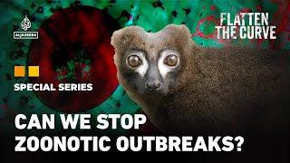 Inside the battle to contain infectious diseases in rainforests and cities | Flatten the Curve | EP3