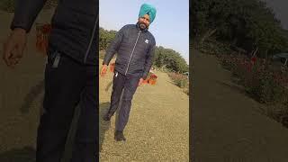 Sevak Sihal