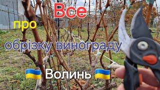 обрізка винограду! секрети виноградарства