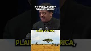 Why Math Is So Potent w/ Neil DeGrasse Tyson
