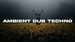AMBIENT DUB TECHNO MIX  "Shades Of Gray 17"