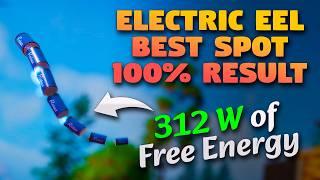 Electric Eel Best Spot - 100% Result |  312 W of FREE Energy for Your Base  | ONCE HUMAN