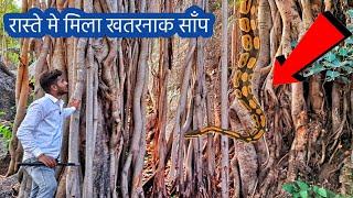 रास्ते मे मिला एक खतरनाक सांप | Hills Vlog Part -2 | Amit Chaurasia Vlogs ||
