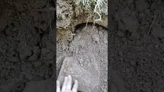 #quest Вот это находка