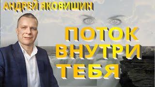 Андрей Яковишин. Поток внутри тебя. Поток жизни. Потоковое мышление. Место изобилия. Нетление.