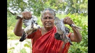 Pigeon Fry in Village Style | Farm Food Food Factory