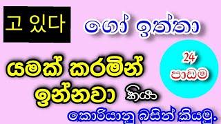 고 있다. යමක් කරමින් ඉන්නවා.  (24)