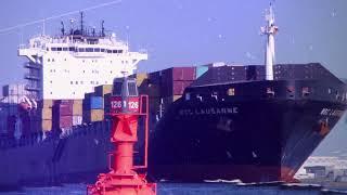 Dietrich Logistics Colombia (English Version)