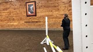 Young Horse Development - First Jumps