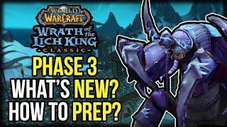 Phase 3 Wrath Classic Preparation! | What's New? & What Can You Do Now?