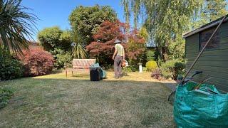 Giving this Tiny Backyard a Tidy up