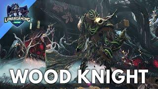 Wood Knight Boss Fight - Kena Bridge of Spirits