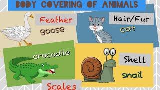 Body Covering of Animals | Feathers | Hair or Fur | Scales | Shell