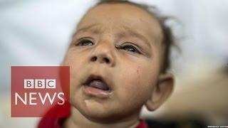 Iraq's Yazidis: 'We don't know how many were killed' - BBC News