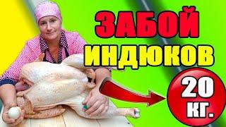 ЗАБОЙ ИНДЮКОВ. Как получить 20 кг за 4.5 месяца.