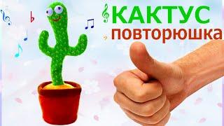 Cactus REPEAT, sings and dances HIT TikTok!