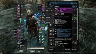 New World Build - Leveling Build