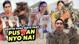 DAMI NA NAMANG MAPUPUSUANG PUSA | GROTTO PUSA SERYE PART 1