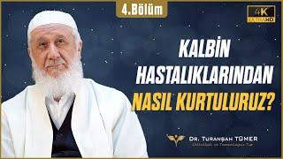 Tasavvuf Nedir? - Şemseddin Bektaşoğlu | Sen Olmasaydın