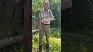 Я Гриша Золотой