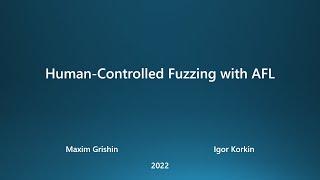 Human-Controlled Fuzzing With AFL: A new module for American Fuzzy Lop