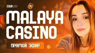 Стрим казино онлайн / Ловим заносы с MALAYA CASINO  #казино #заносы