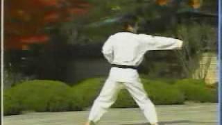 13. Taekwondo Poomsae Sipjin (WTF)