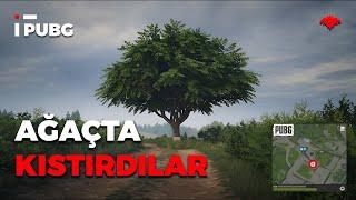 AĞAÇTA KISTIRDILAR! - #PUBG #SOLO