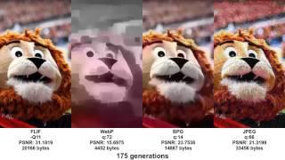 Generation loss: FLIF vs WebP vs BPG vs JPEG