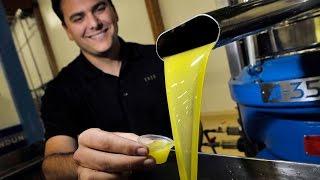 ENZO produces olive oil in Madera
