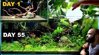 SELF SUSTAINING, ECOSYSTEM AQUARIUM - 55 DAYS! (no water change, no co2, no cleaning)