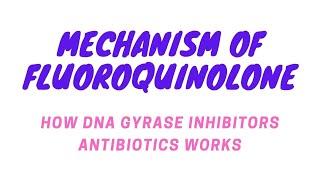 Mechanism of fluoroquinolone or DNA gyrase inhibitors antibiotics & causes of resistance