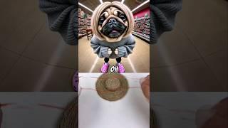 The smartest chihuahua EVER  Sound ​⁠#VuxVux #memes
