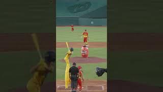 Duck, duck, goose  Bounce, bounce, out  #thefirefighters #savannahbananas #bananaball #stilts #mlb